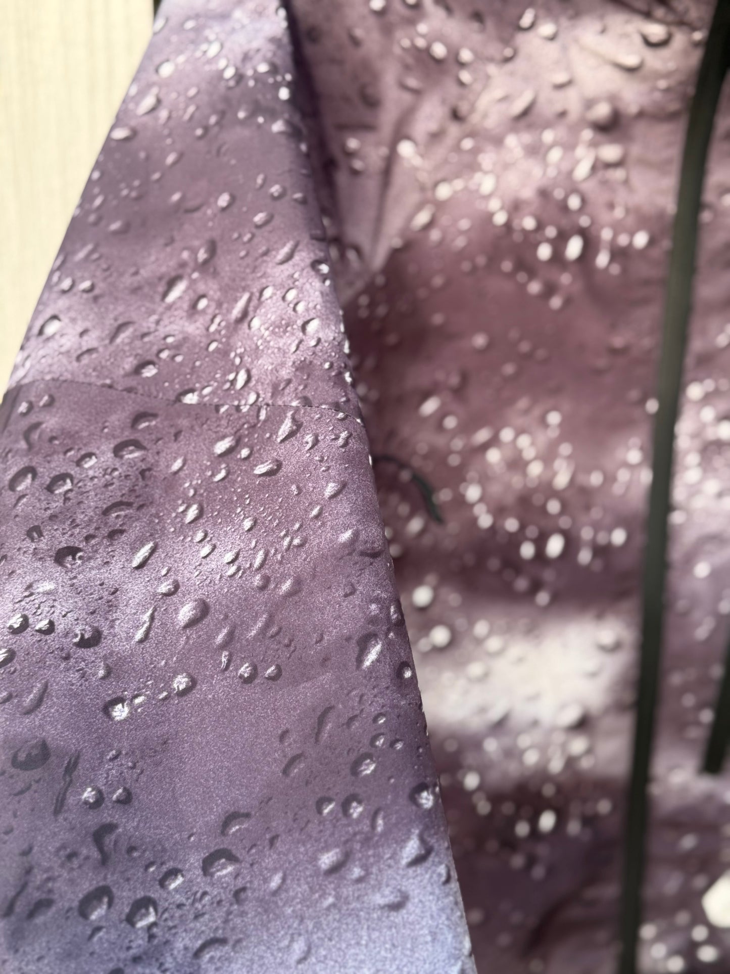 Palace Gore-Tex Palex Black Rain Jacket