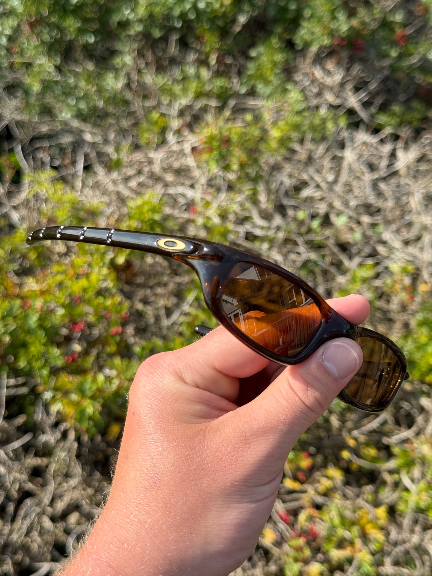 Oakley Four