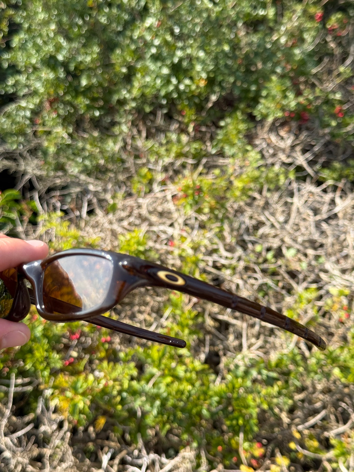 Oakley Four