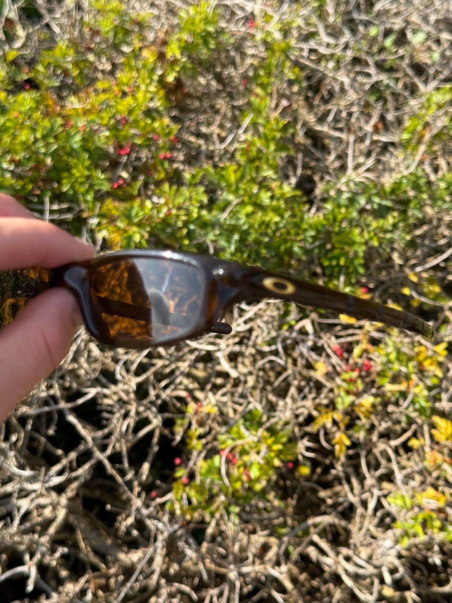 Oakley Four