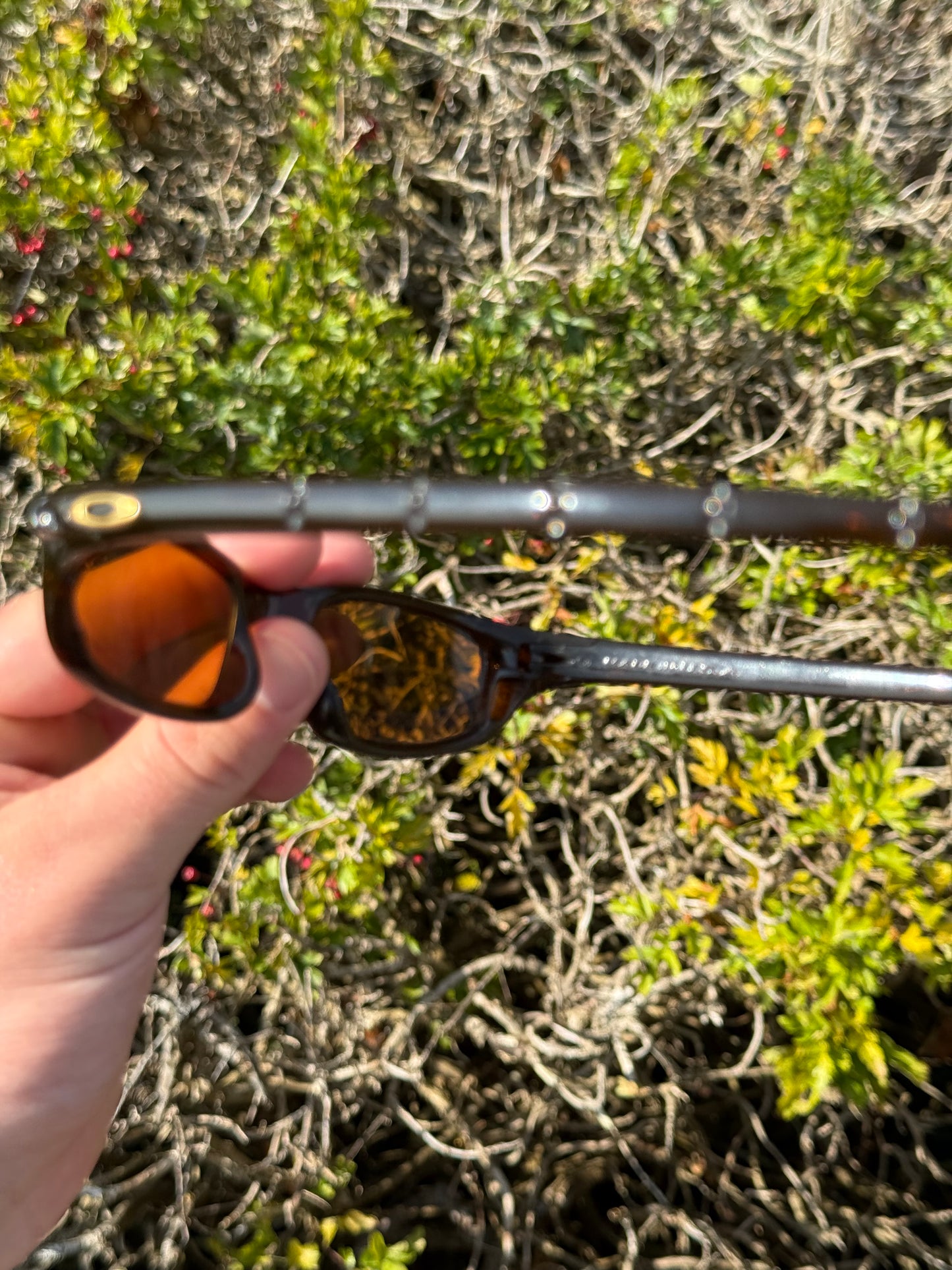 Oakley Four